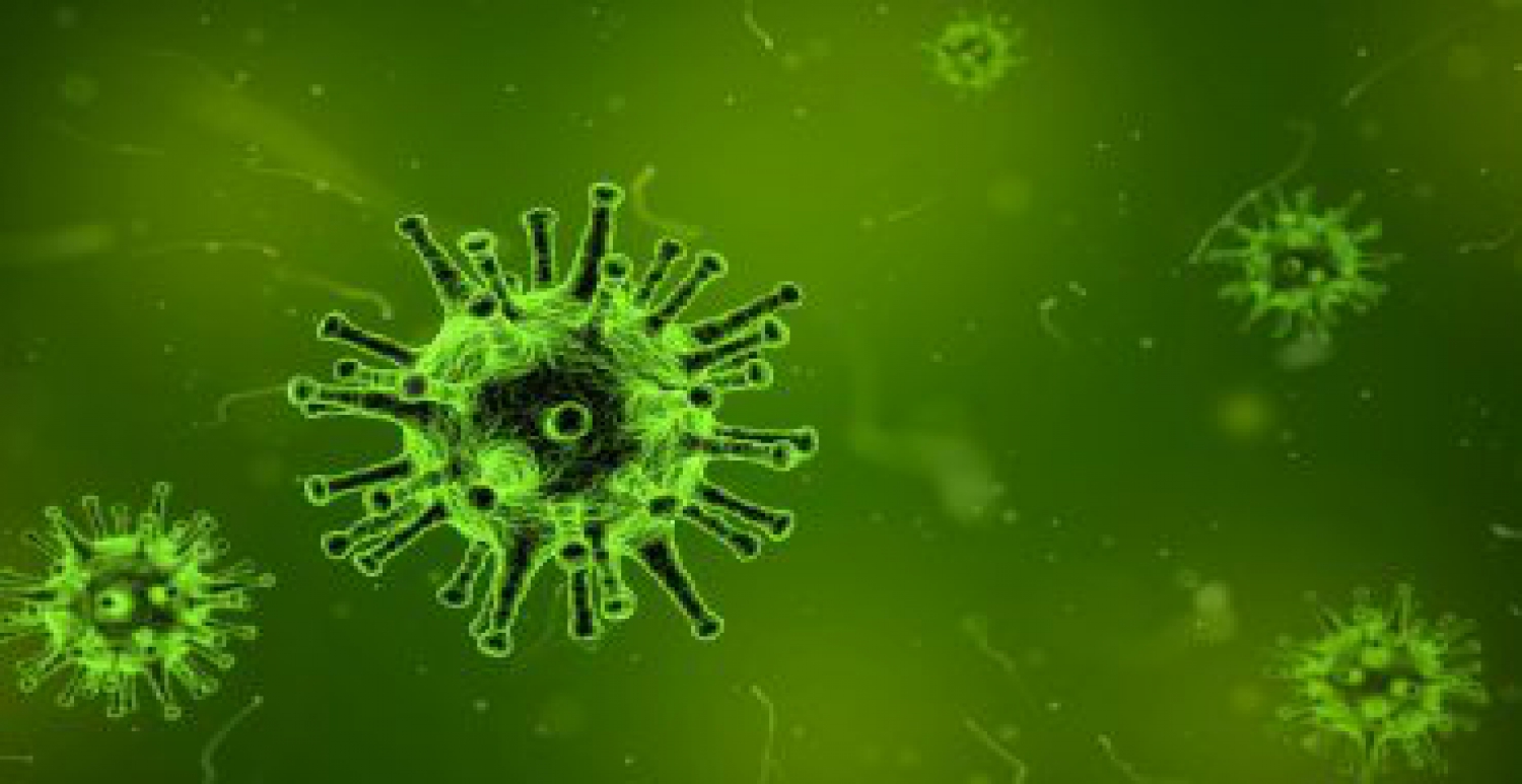 imagen del virus coronavirus