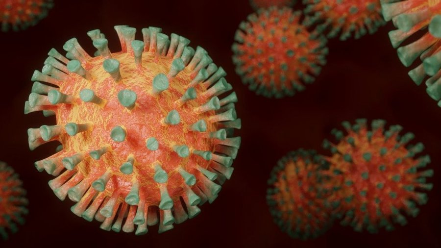 csic-coronavirus