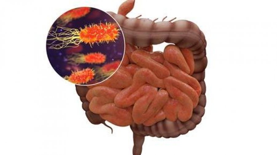 microbioma-CSIC