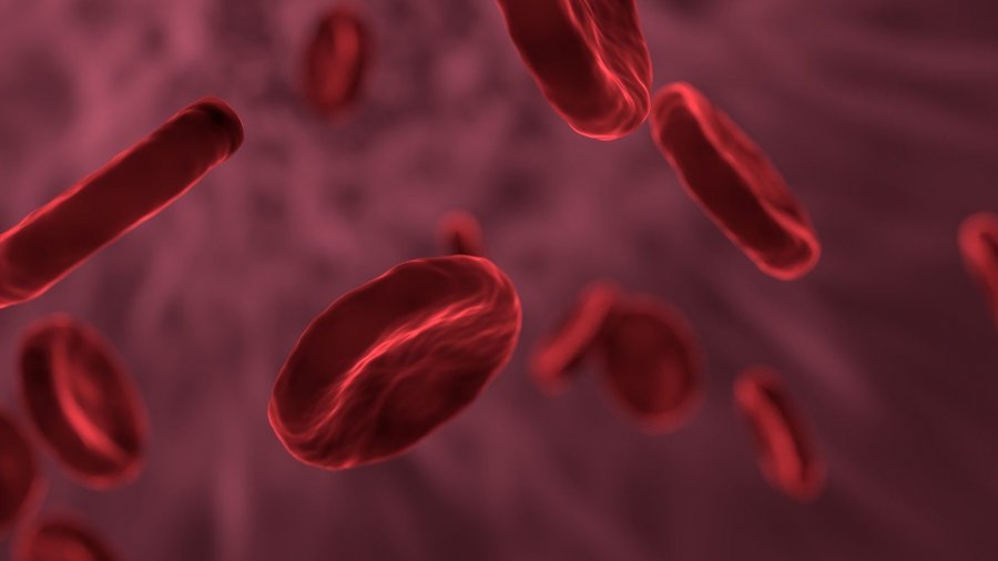 Glóbulos rojos
