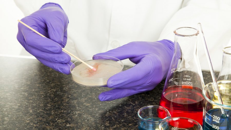 Bristol Myers Squibb investigación mieloma
