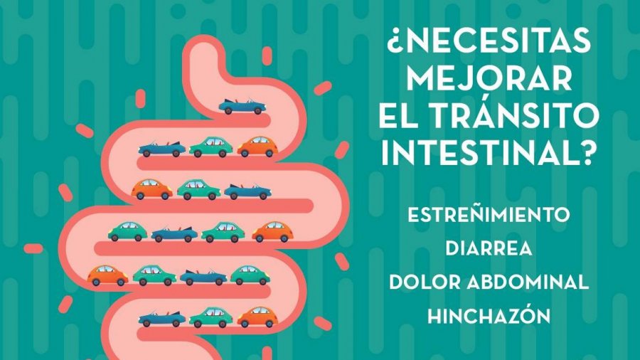 Campaña sanitaria sobre el tránsito intestinal.