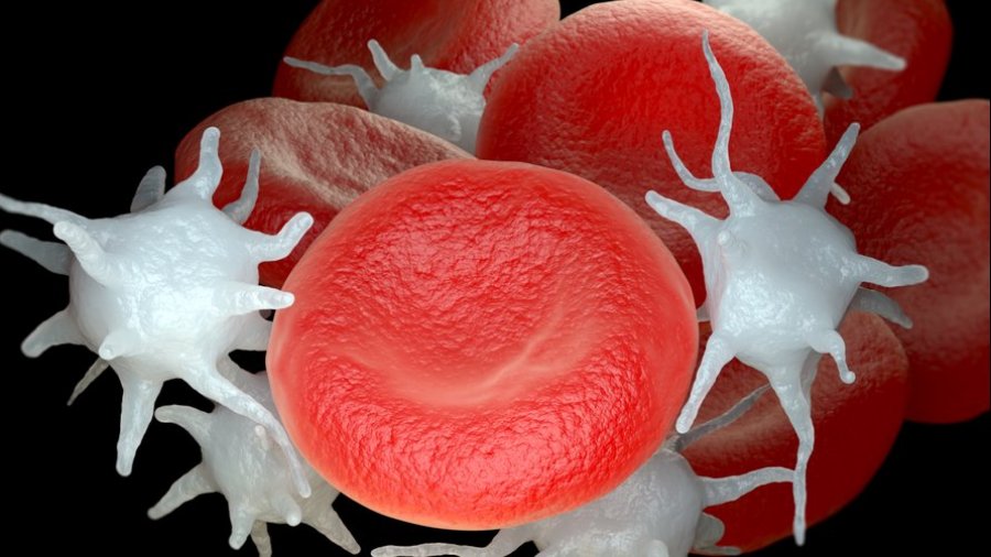 Tratamiento para la leucemia mieloide crónica.