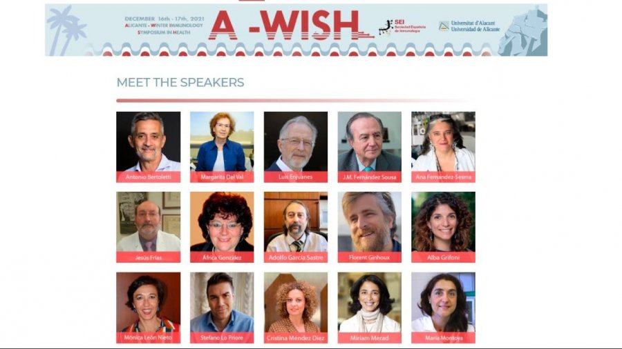 Científicos reunidos en A-WISH.