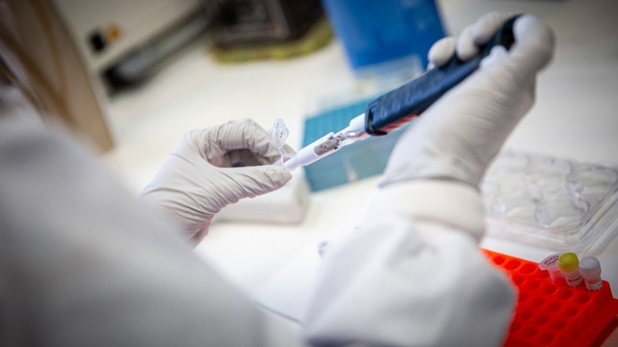 Laboratorio de coronavirus del CNB-CSIC. / Álvaro Muñoz Guzmán SINC.