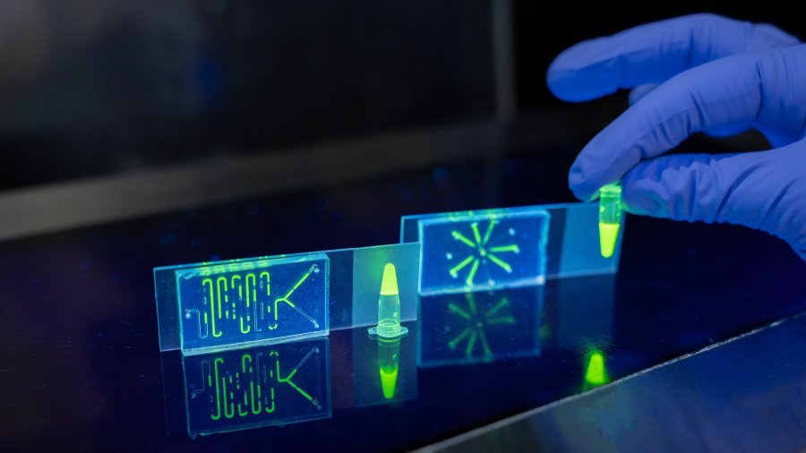 Diagnóstico rápido del virus SARS-CoV-2 mediante PCR.