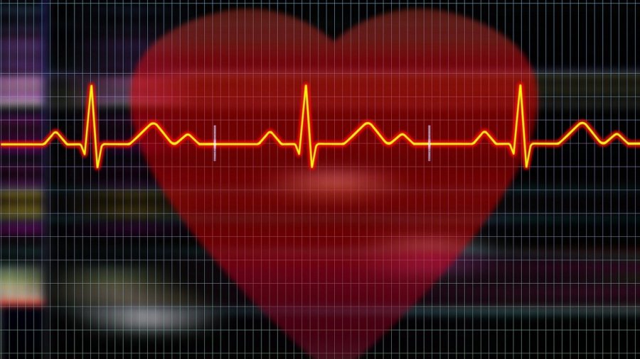 Casi 1 de cada 4 fallecidos en España en 2020 murió a causa de una enfermedad cardiovascular.