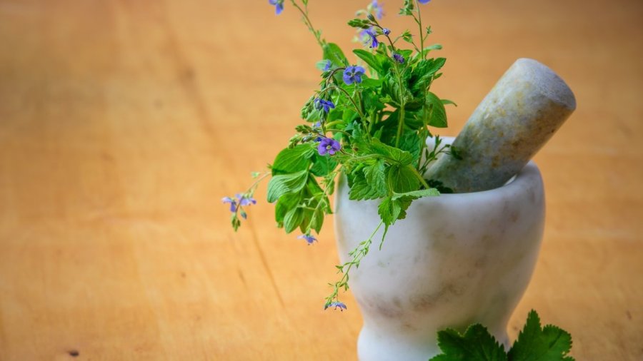 Plantas medicinales en farmacias. 