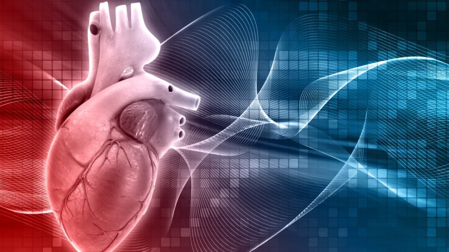 Muerte por enfermedades cardiovaculares. 