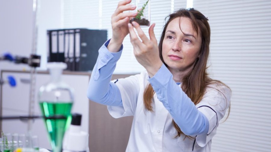 Nueva molécula para tumores sólidos de PharmaMar