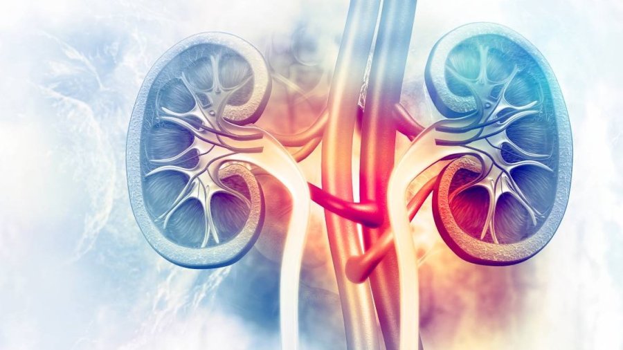 Trasplante renal con donante vivo en mayores de 60 años