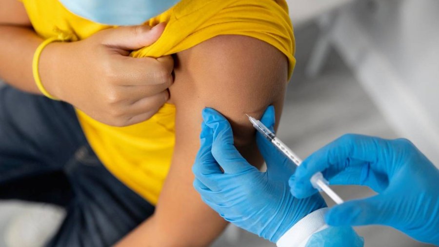 Primera vacuna contra el dengue en España.