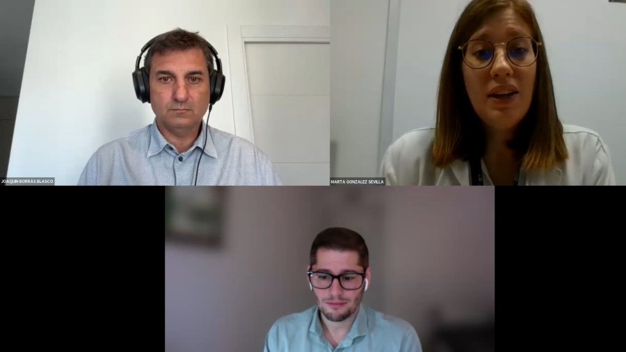 Joaquín Borrás, Marta González y Juan Carlos Nieto participaron en el webinario de la SEFH.