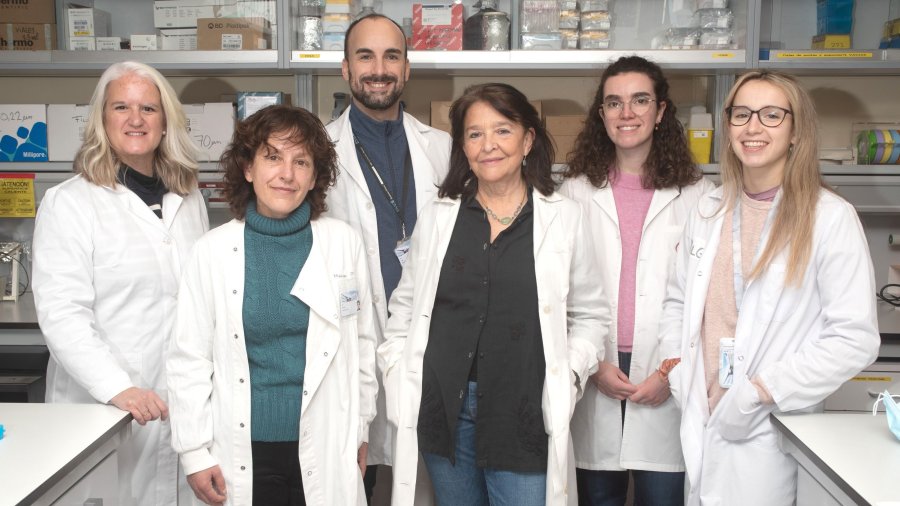 La doctora Maía Luisa Toribio acompañada por su grupo de trabajo en el Centro de Biología Molecular Severo Ochoa.