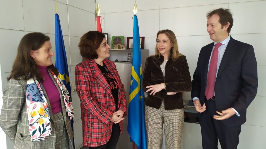 Un momento de la reunión entre los representantes de Fedifar y la Consejería de Salud del Principado de Asturias.