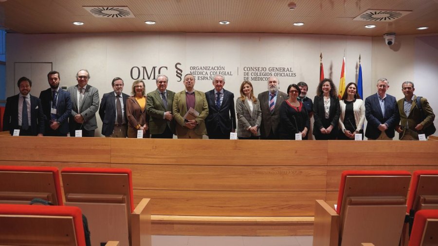 Representantes de los consejos de colegios sanitarios de España.