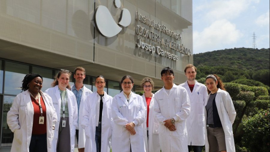 Grupo de investigación Dra. Sònia Guil. Foto: Instituto Josep Carreras