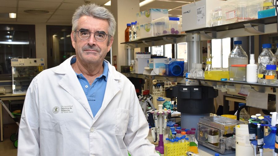 Investigador José Gallego