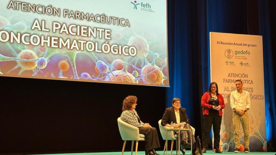 11ª Reunión anual.Foto: GEDEFO- SEFH