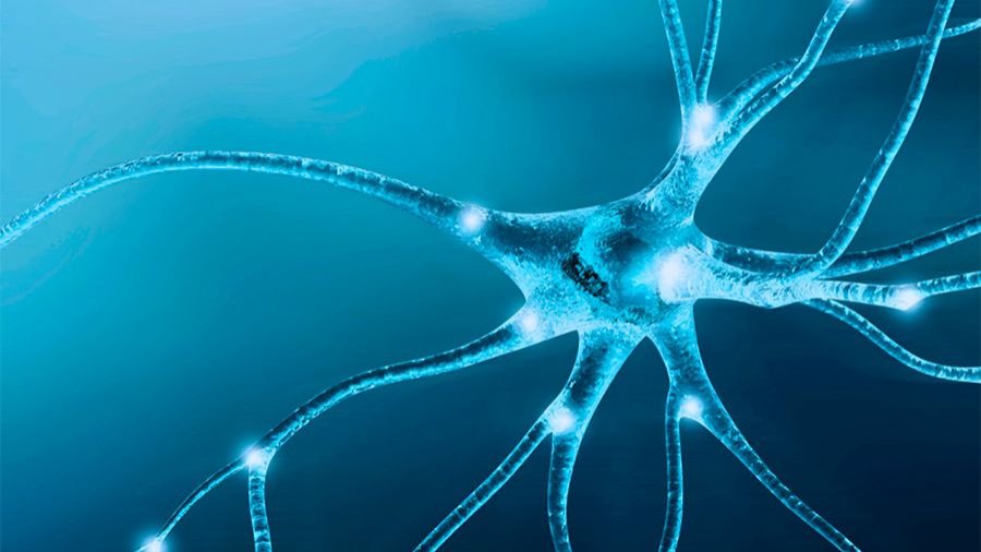 Universidad Francisco de Vitoria Universidad Francisco de Vitoria