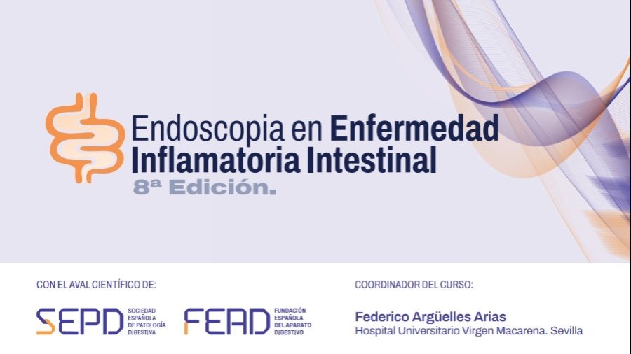 Curso Endoscopia en Enfermedad Inflamatoria Intestinal (EII).- Foto: SEPD Curso Endoscopia en Enfermedad Inflamatoria Intestinal (EII).- Foto: SEPD